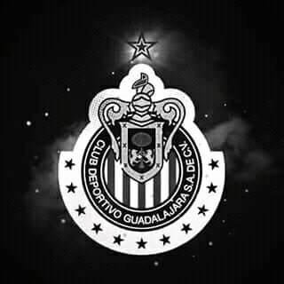 JavierRuizRam85's tweet photo. https://t.co/6t9YdDn9x7