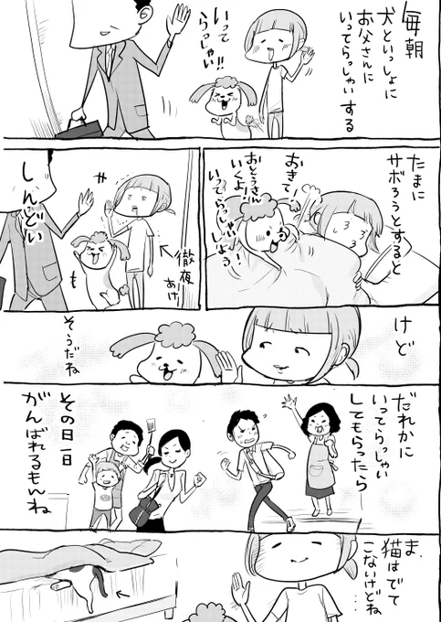 犬と猫どっちも飼ってると、色んないってらっしゃいしてもらえるから毎日たのしい。 