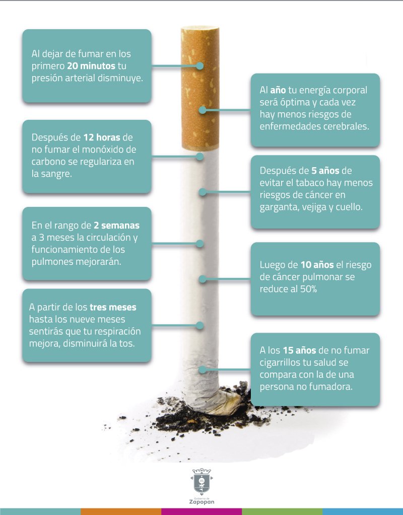 ZapopanGob's tweet photo. ¿Sabes cómo reacciona tu cuerpo al dejar de fumar? 🚬 https://t.co/yaJbDJ6BcD