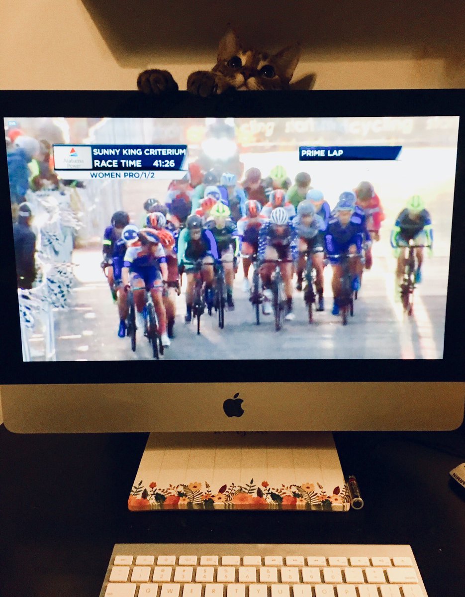 Pets watching bike races 😸<a href="/bradsohner/">Brad Sohner</a> @sunnykingcrit