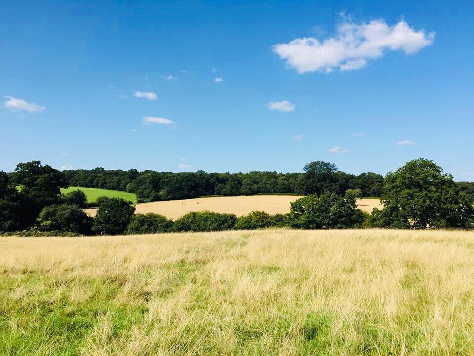 m.facebook.com/groups/1415151… 

Dog Friendly UK is now on Twitter 🐾🐾🐾🐾🐾