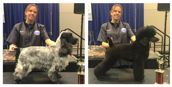 Congratulations to Ashley Beltz on her two 2nd Place wins at #NorthwestGroomingShow today! 🥈🥈🎉 #teampetsmart