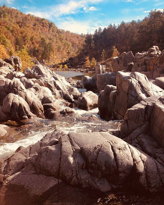 VisitMO's tweet photo. A new adventure is calling your name. Explore Johnson Shut-Ins and discover some great trails and climbing. 📷
@trailingahead .
.
.
#Missouri #MO #ShowMeState #ShowMe #ShowMeMissouri #JohnsonShutins #hiking #climbing #trails #hike #climb #water #Taum… https://t.co/P0sGi8gF5Q https://t.co/2YsqX7upCQ