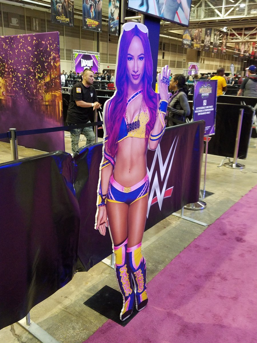 DW_1985's tweet photo. I see Sasha and I see pods....this could be trouble. #podkicker @BayleyPromoWWE @BFoxburrow @itsBayleyWWE 😁 https://t.co/UgegOU8IrO