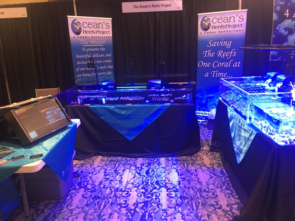 At Reef Palooza in Orlando, Fla.