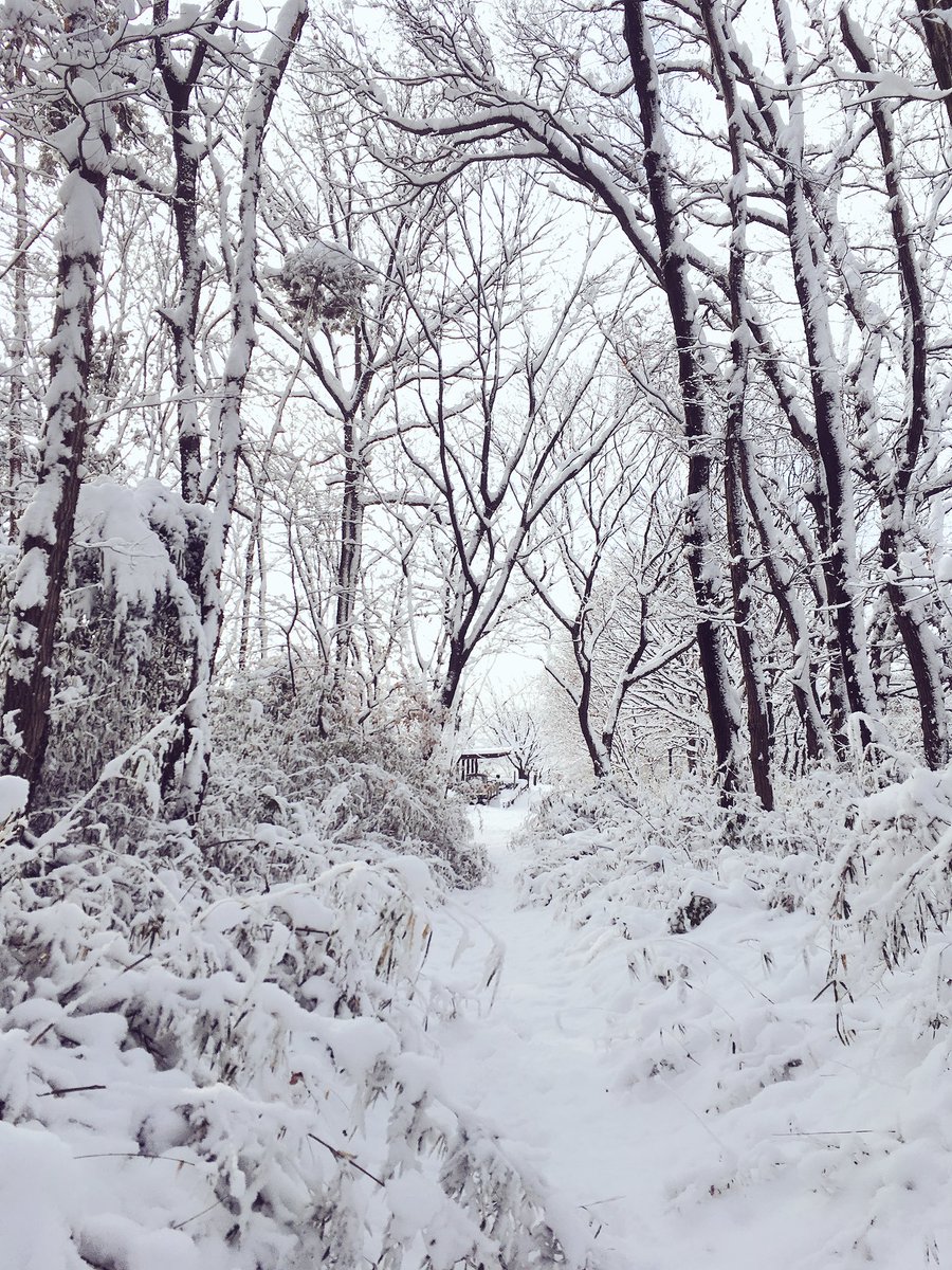 shrzreen's tweet photo. Colors in 日本 https://t.co/6tRs0IGFPY