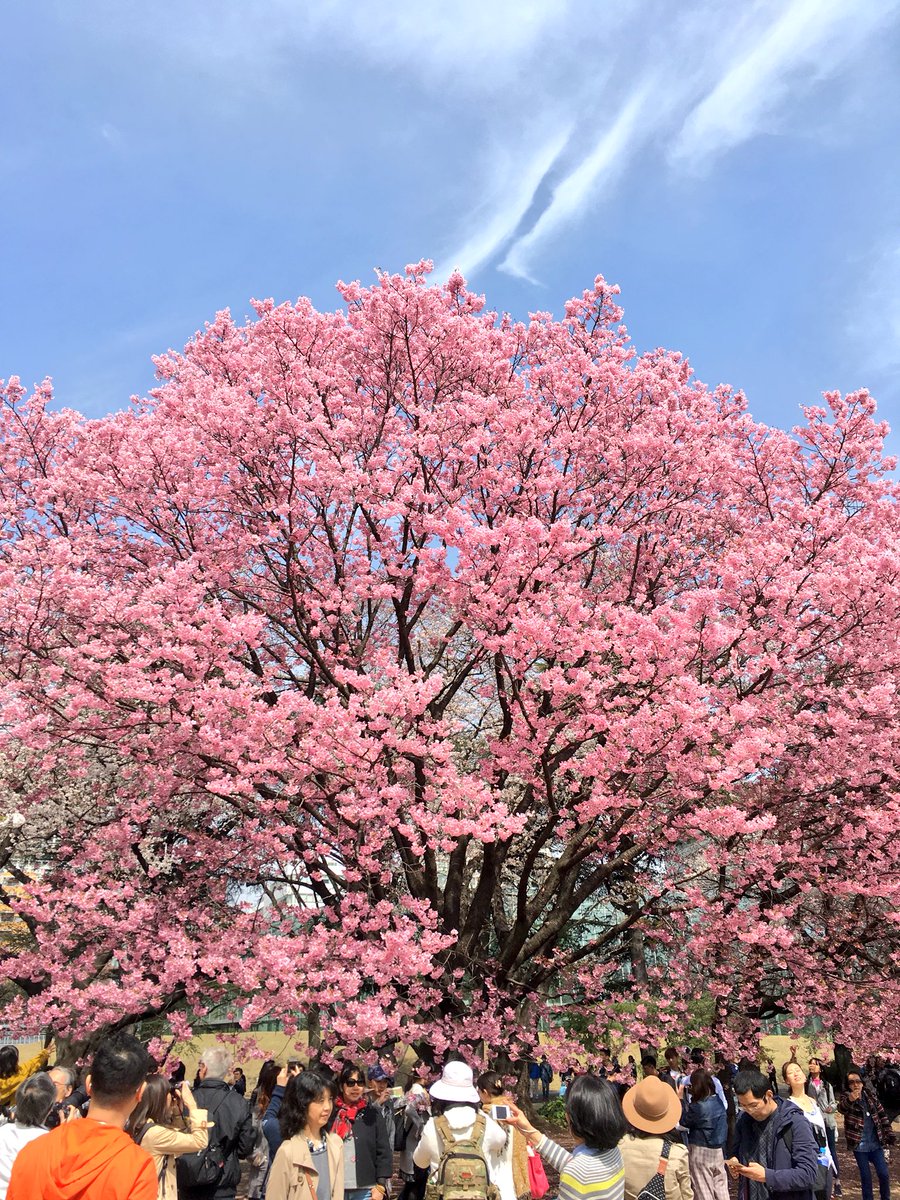 shrzreen's tweet photo. Colors in 日本 https://t.co/6tRs0IGFPY