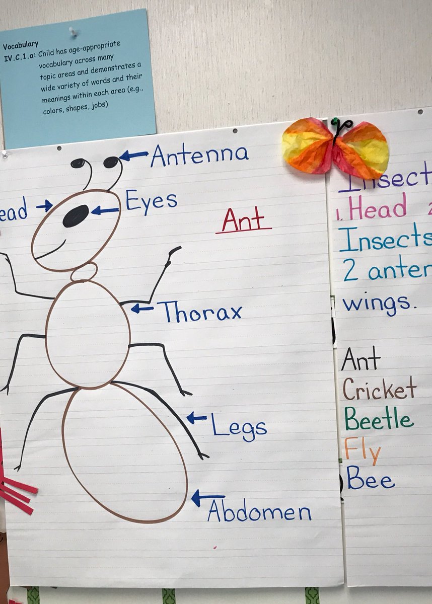 MCPS_EarlyLrng's tweet photo. 🐜🐜 Is that an insect next to me?  Count the body parts.  Are there three?  Count the legs.  Is it six that you see?  Purposeful learning &amp; fun in Pre-K @BelleviewElementary.  #WeAreMCPS  #DIGLearning Deliberate Instruction=Gains! https://t.co/If89y1LGAG