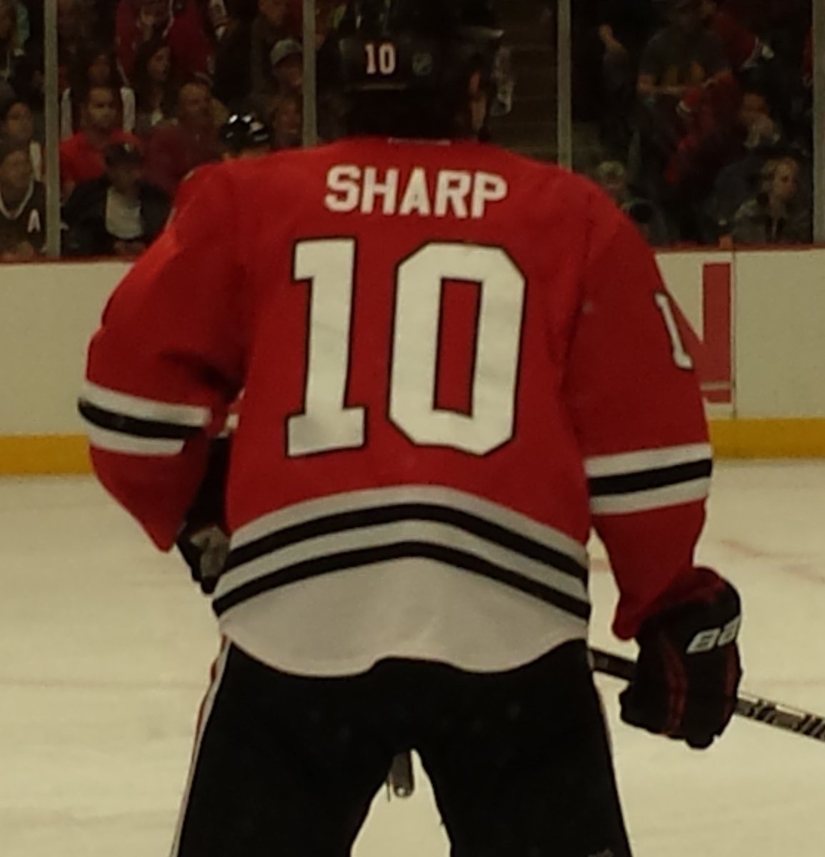 Otaku_Swiftie's tweet photo. @NHLBlackhawks #ThankYouSharpy
It was an honor getting to meet you,and watch you play and practice with both the Hawks and Stars. https://t.co/RLQ0sXIkJl