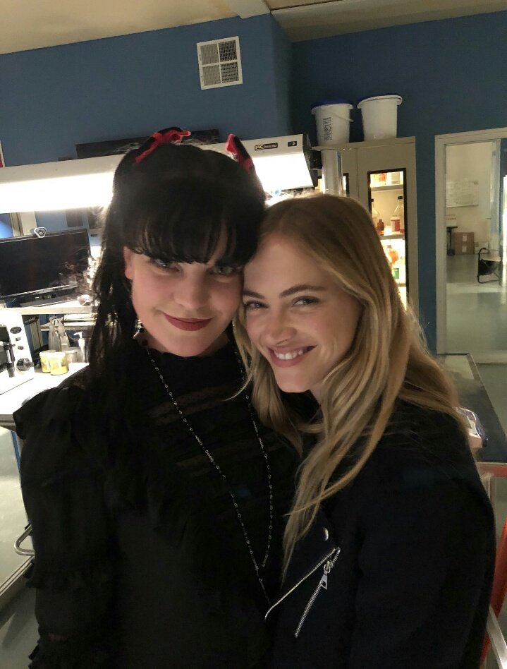 NCIS tweet media
