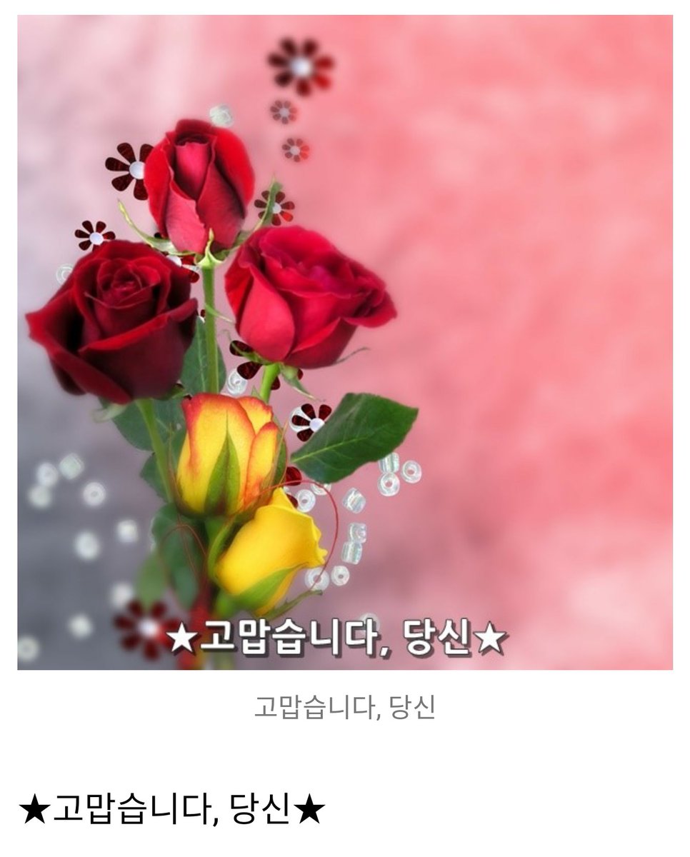 자인스님 (@darani93361) on Twitter photo 