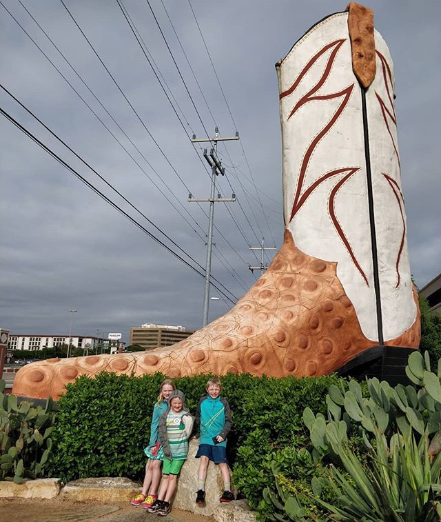 JustRunKnit's tweet photo. Our adventures in San Antonio are over, other than getting up super early for a flight back to the cold and snowy tundra of Minnesota. It has been full to overflowing with fun activities and warmth. Thanks for all the memories Texas! 💞💞😁😁 #morePicsIn… https://t.co/aIQWPZUrnc https://t.co/a7dZKBi5U2