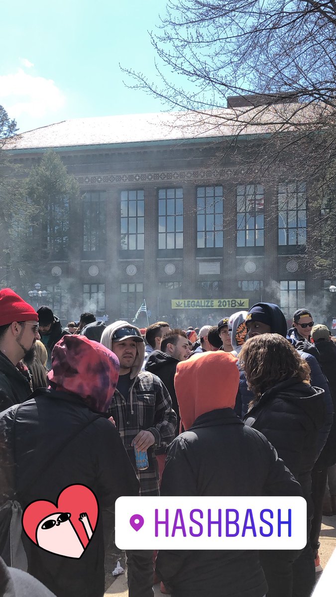 kalivrose's tweet photo. #HashBash2018 🌬🍃 https://t.co/RpLD3rCUO0