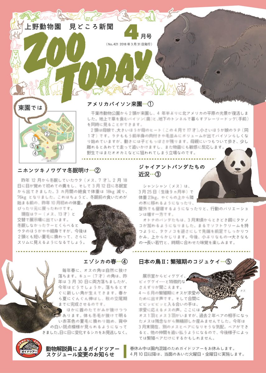 Twitter 上的 上野動物園 公式 桜の花の見ごろは終わってしまいました が 桜色のこれに載っている記事の見ごろは今 上野動物園 見どころ新聞 Zootoday4月号 園内各所で無料配布中 T Co Ovlxzxjhrg Twitter