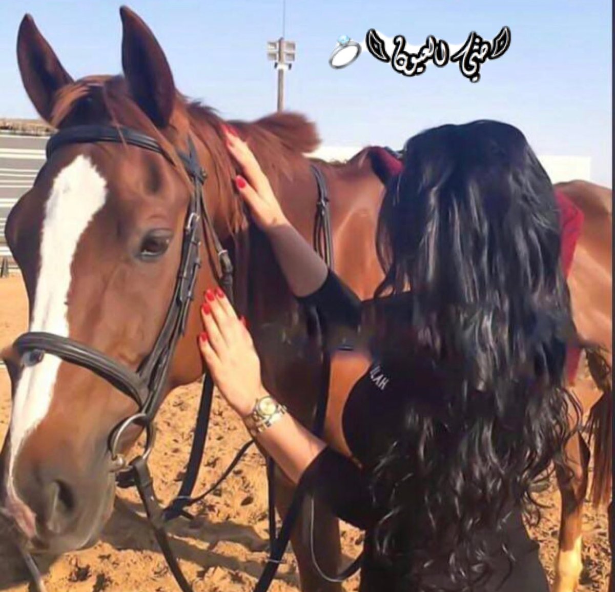 cz_ttt's tweet photo. يقول : 
يا نبض قلـب القصّيــد ونظر عيــنه 
- يا مهـرةٍ *" تستفـز " * الشعر والشاعـر 👸🏻😌♥️' https://t.co/ldYaFiPq03
