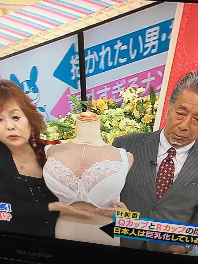 叶 姉妹 何 カップ