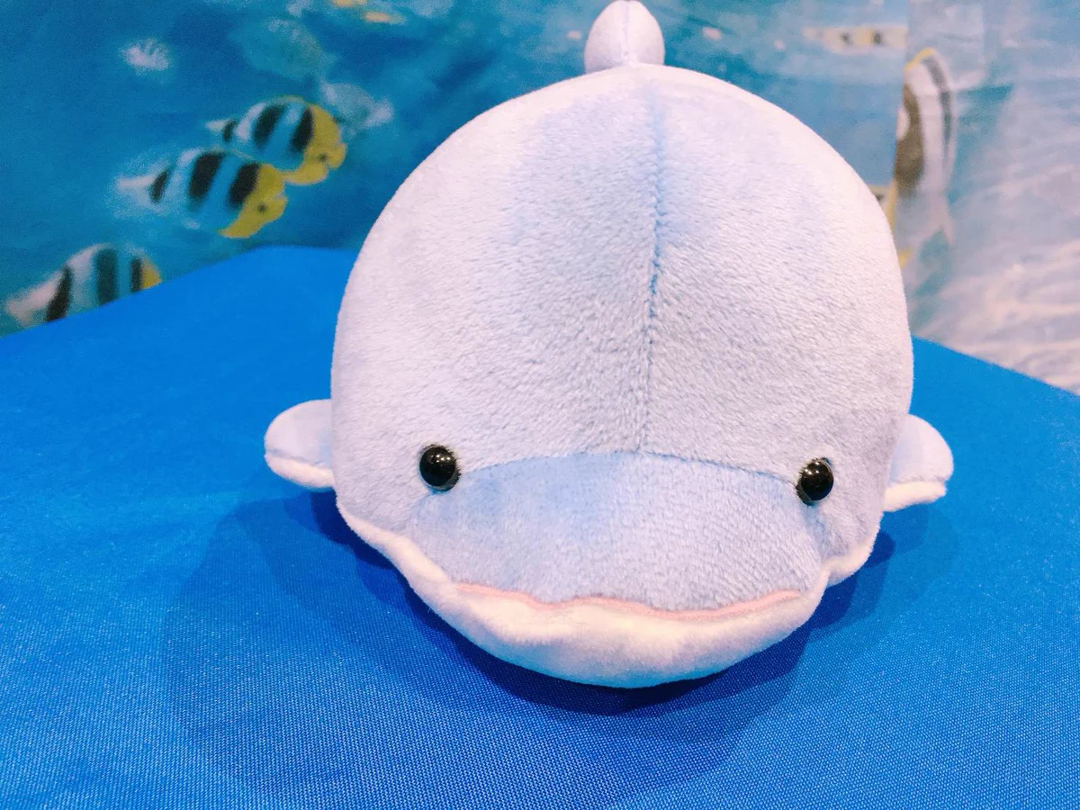 横浜八景島シーパラダイス シロイルカ ぬいぐるみ　大　お魚といっしょ 横浜・八景島シーパラダイス公式 on X: 