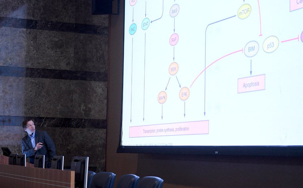 KAIMRC Events tweet media