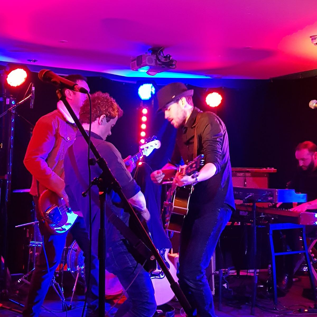 diggersadog tweet media