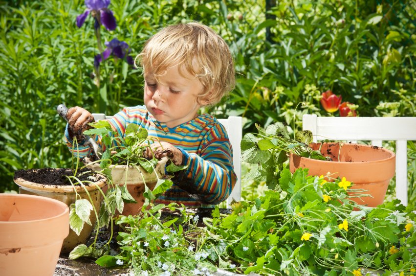 One99_Brand's tweet photo. Do you want to play with your kids in the garden ? Preparing some tools and have fun :) . #kidsgarden #gardening #gardeningtools #yardtools #landscapingtools #bestweedtrimmer #gardenhandtools #gardenmultitool #urbangarden #urbangardening #kidslife #Twitter #time #School https://t.co/8YJjYIbpmz