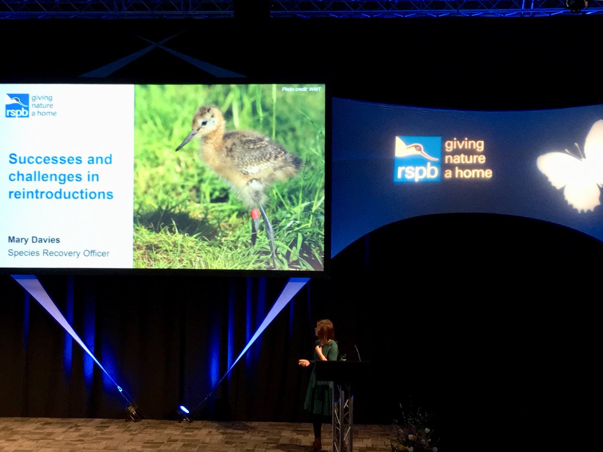 RachelKenty's tweet photo. Last day at #RSPBWeekend and first talk of the day with Mary from @Natures_Voice #Reintroductions #Nature #NaturesHome #RSPB @ecotricity #GreenBritain #GreenRevolution #GreenPartners https://t.co/2sUbtfrO3l
