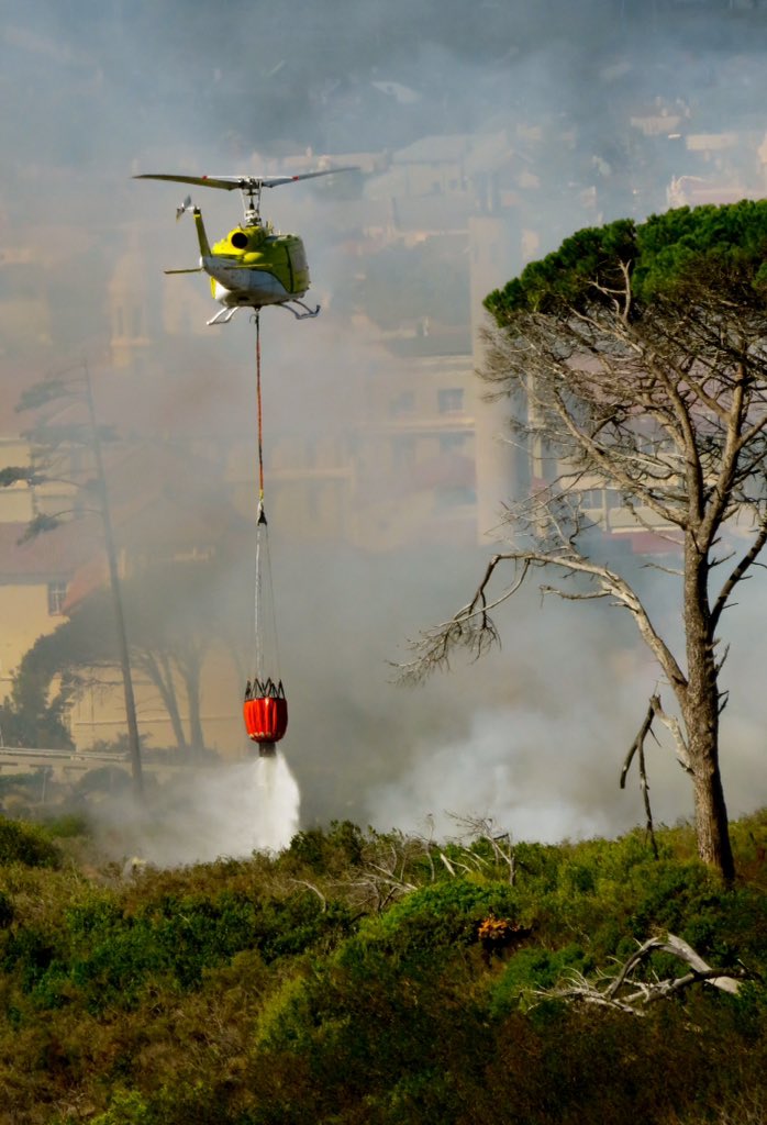 Thefaircape's tweet photo. @vwsfires. Super fast fire action yesterday. 4xchoppers, 1spotter plane, trucks from @cptfrs, @SANParks &amp; @wo_fire mopped up so fast. Just great. https://t.co/aZ2oCGAk5B