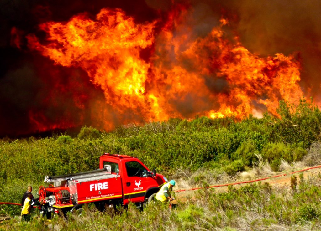 Thefaircape's tweet photo. @vwsfires. Super fast fire action yesterday. 4xchoppers, 1spotter plane, trucks from @cptfrs, @SANParks &amp; @wo_fire mopped up so fast. Just great. https://t.co/aZ2oCGAk5B
