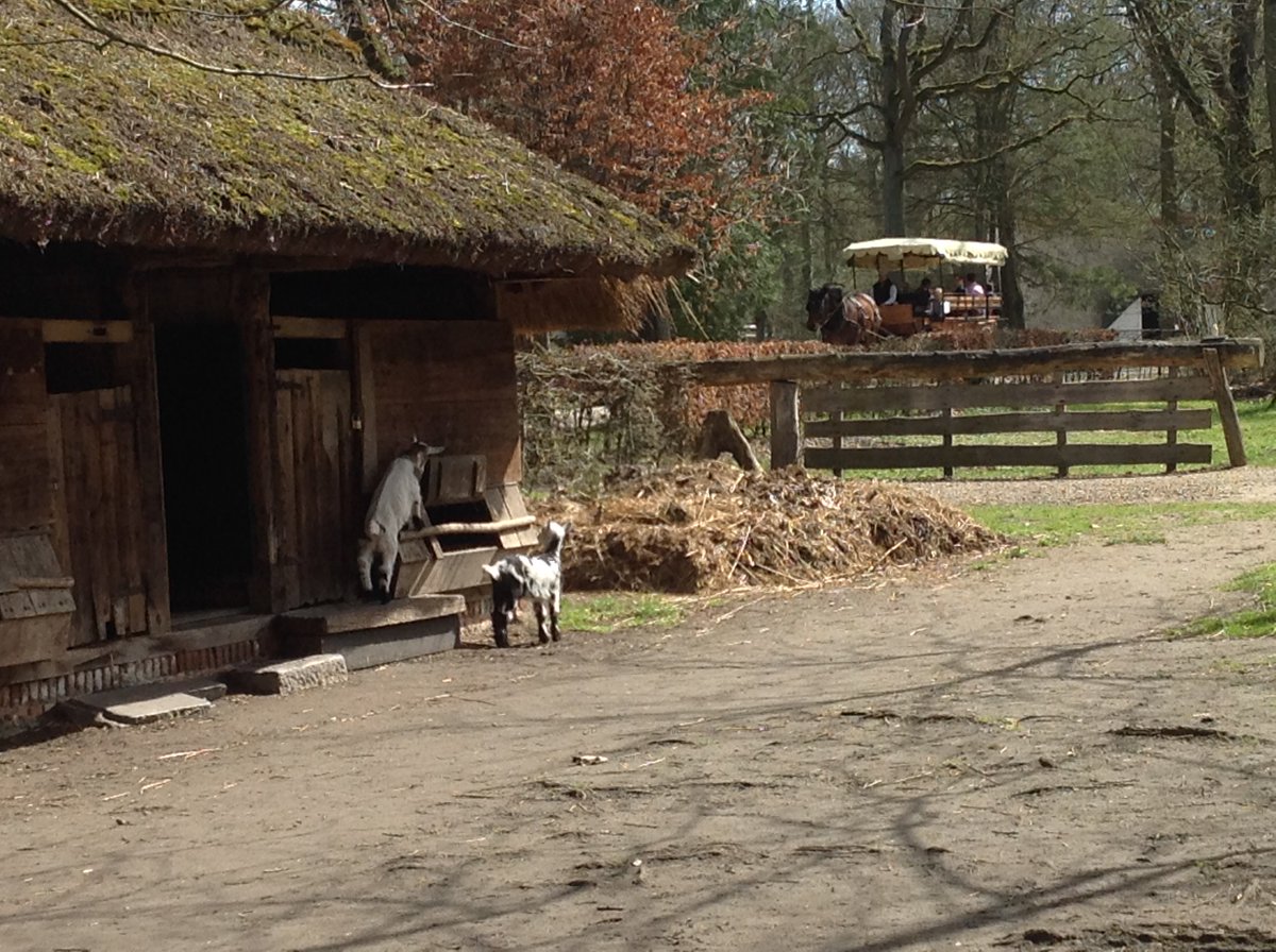 garage72 tweet media