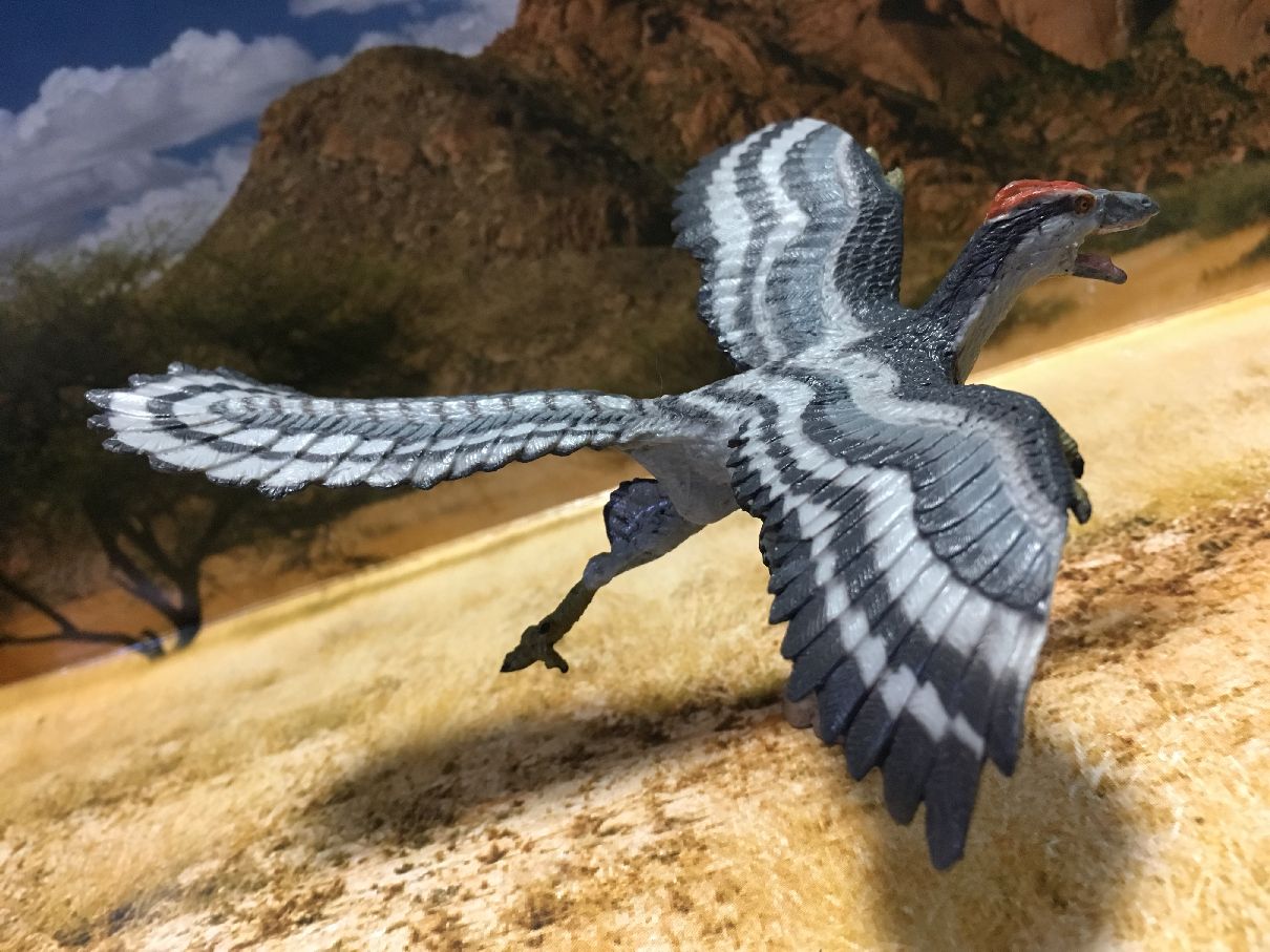 人気のファッションブランド！ フェバリット社 和める 始祖鳥 恐竜 生き物・恐竜