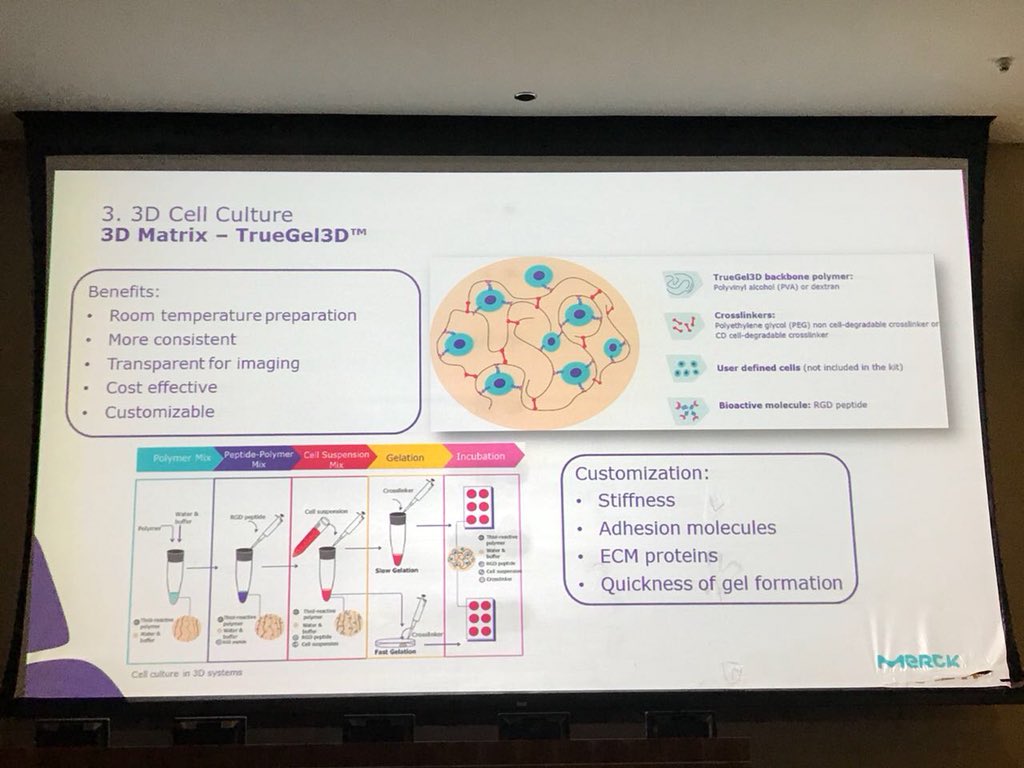 KAIMRC Events tweet media