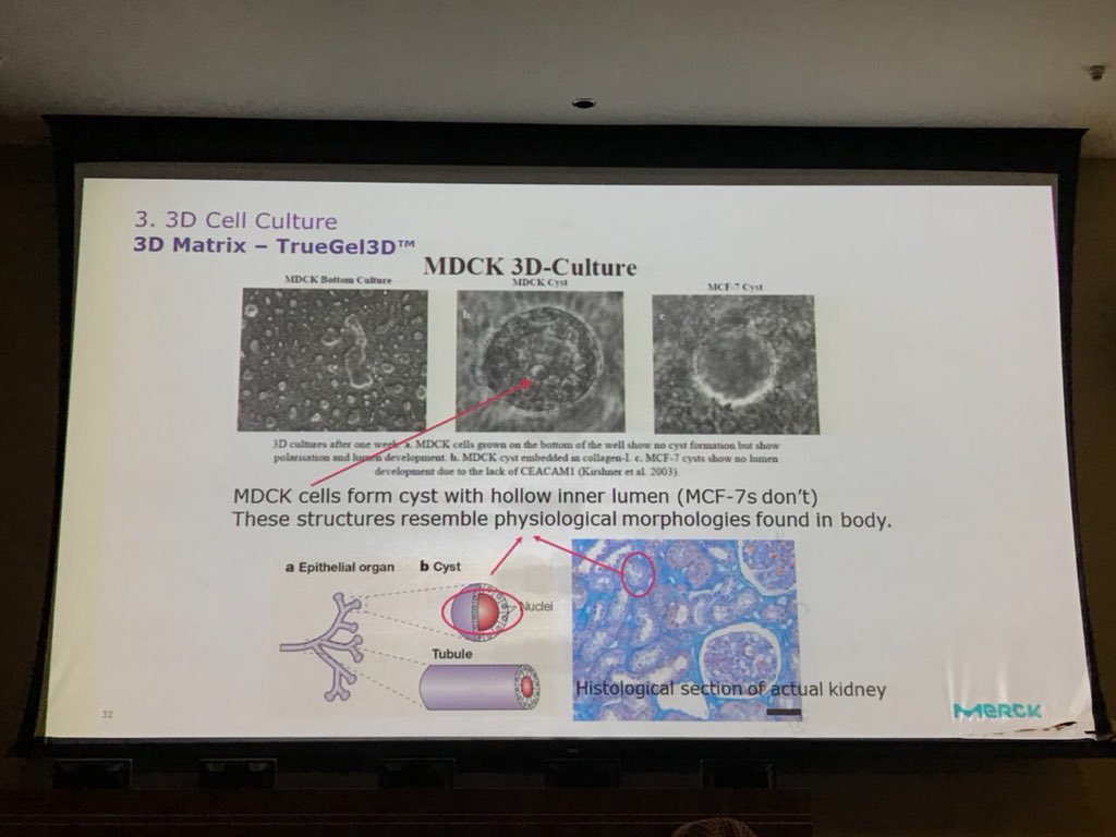 KAIMRC Events tweet media