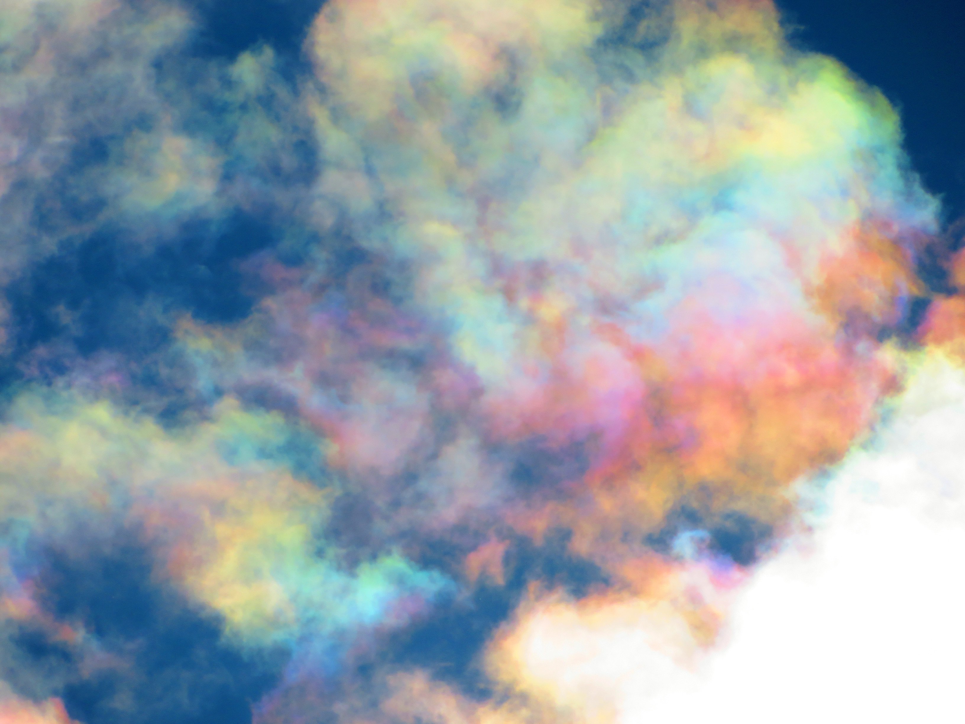 荒木健太郎 on X: 