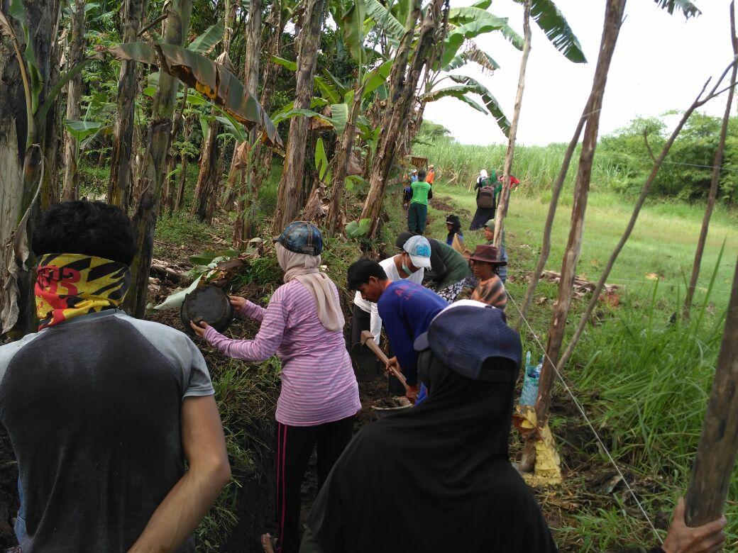 YudyAms's tweet photo. Padat Karya Tunai Desa Bogares Lor kec. Pangkah,Kab.Tegal 
#GerakanInovasiDesa
#TPPIJateng
#TPPITegal
@jokowi
@EkoSandjojo
@anwsanusi
@taufikmadjid71
@fachrilabalado
@tppindonesia
@KemenDesa
@BroerHendri 
@sunaryo266 
@m_jamroni 
@ShaomyNugroho 
@muhajir29011081 https://t.co/koQVUfUNNl