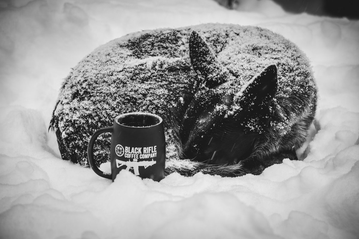 blckriflecoffee's tweet photo. Anyone planning on sleeping in tomorrow? #brcc #coffee. https://t.co/lSOcXSPmM4