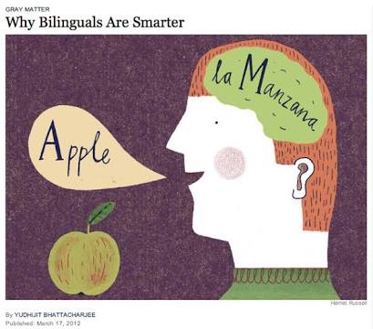 Skymazef3's tweet photo. Articulator has 2 meanings as does phonology. Ah the challenge of thinking L2 acquisition #linguistics #tesol #asl #chirology aka phonology! https://t.co/jBwFyQjZsd