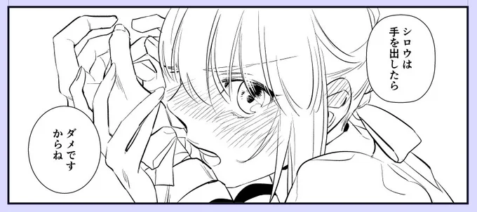 ダメらしいです。 