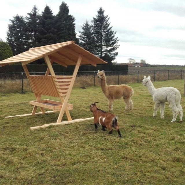 BoomBanken's tweet photo. RUIF  met groot dak, alpaca hert ree pony schaap enz * https://t.co/UELtZd6vnm https://t.co/QpZD9RYSwA