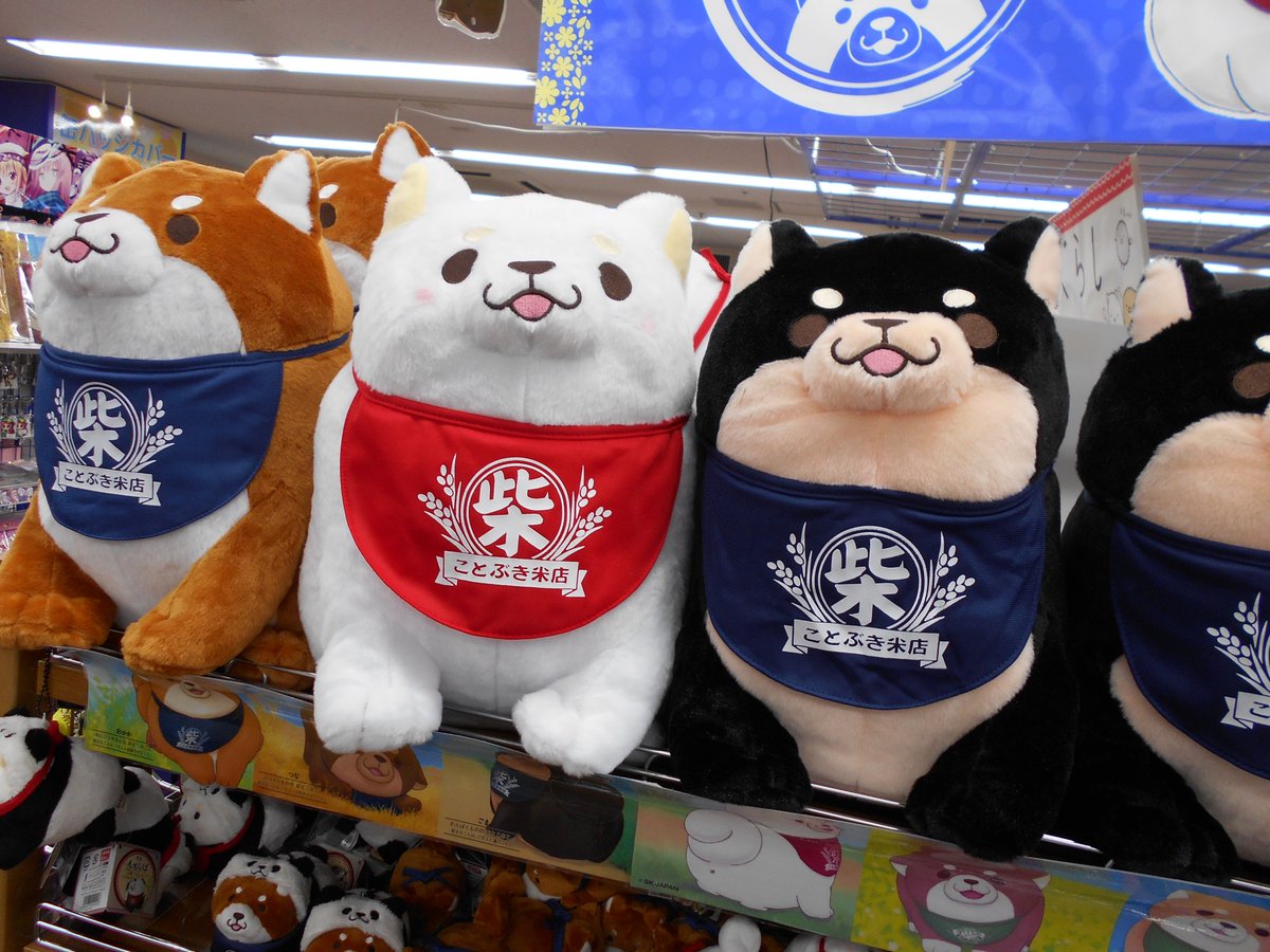 アニメイト池袋本店 Twitterren キャラ情報 忠犬もちしば ぬいぐるみlサイズ 新商品 ごま が入荷したアニ 3匹揃えたいアニね そして 大人気のもちもちクッション おかか も再入荷したアニ 今なら5種全部そろってます 忠犬もちしば商品 アニメイト池袋本店 Twitterren キャラ情報 忠犬もちしば ぬいぐるみlサイズ 新商品 ごま が入荷したアニ 3匹揃えたいアニね そして 大人気のもちもちクッション おかか も再入荷したアニ 今なら5種全部そろってます 忠犬もちしば商品