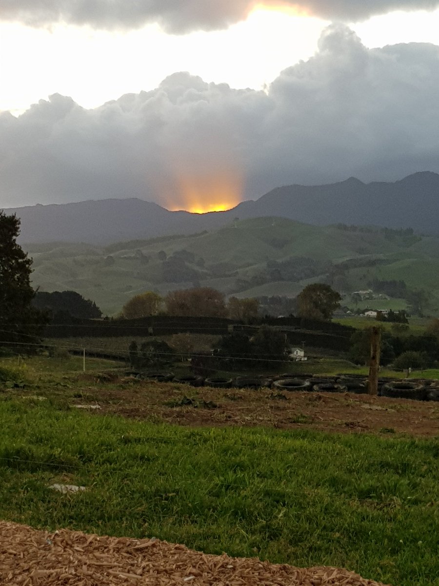SinclairClanNZ's tweet photo. Pirongia is showing off tonight. https://t.co/flOB6hazlw