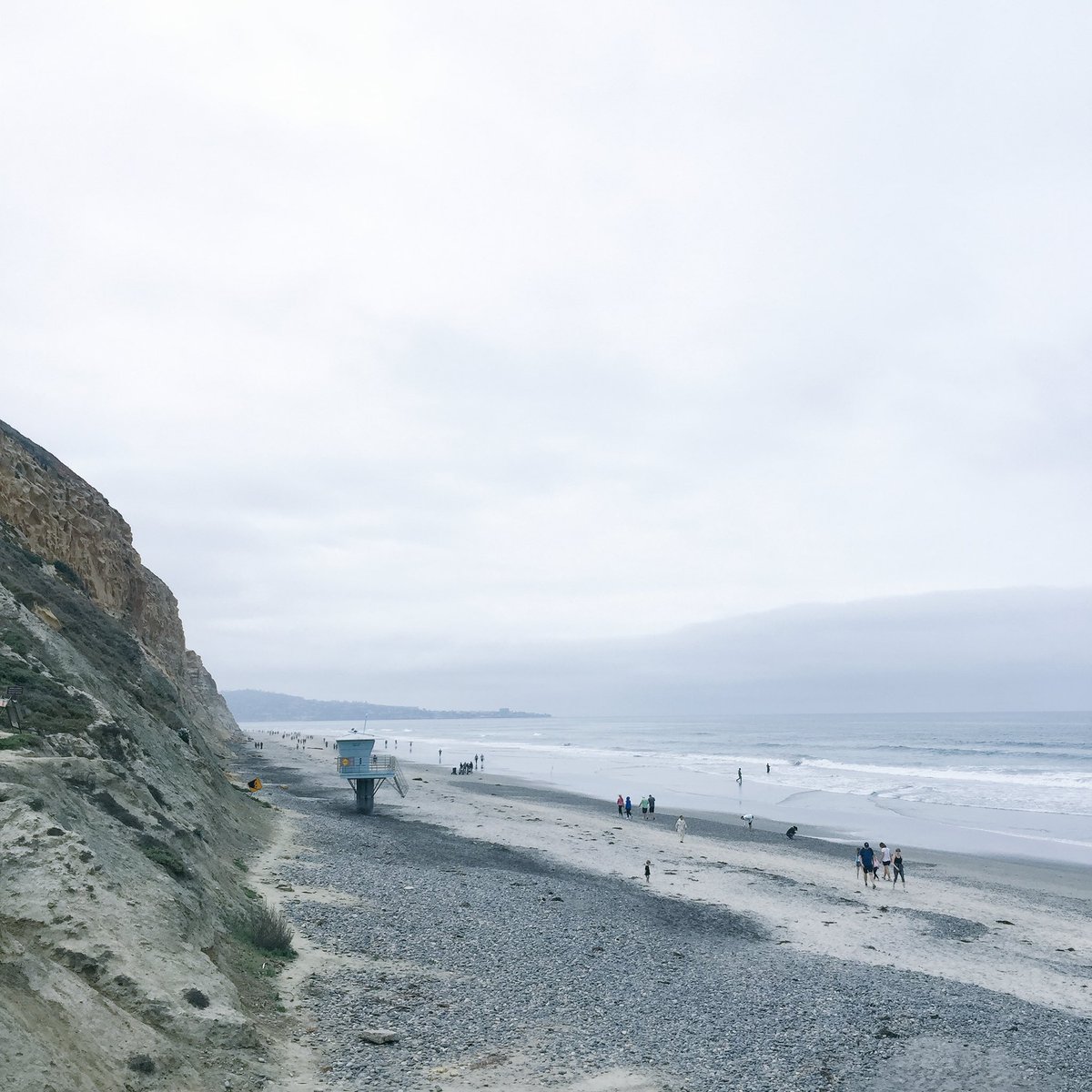 📍Torrey Pines State Natural Reserve and State Beach #sandiego #torreypines #hikesandiego