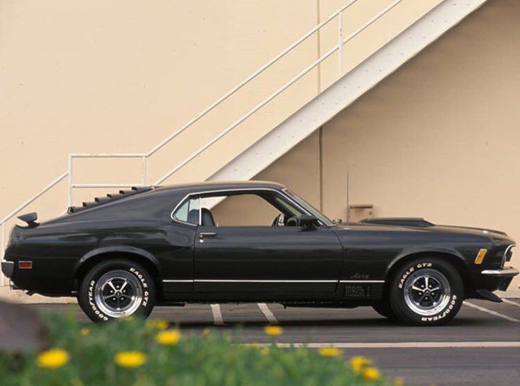 mustangsinblack's tweet photo. 1970 Mach 1 😎 #mustang #mustanggt #fastback #1970mach1 #mach1 #mustangfanclub #mustangdepot #mustangnation #mustanglovers #stang #stanggang #stangbangers #classicmustang #mustanglife #classiccar #musclecar #americanmuscle #muscle #carporn #carphotography #blackmustang #ponycar https://t.co/mvsZsRcJ1A