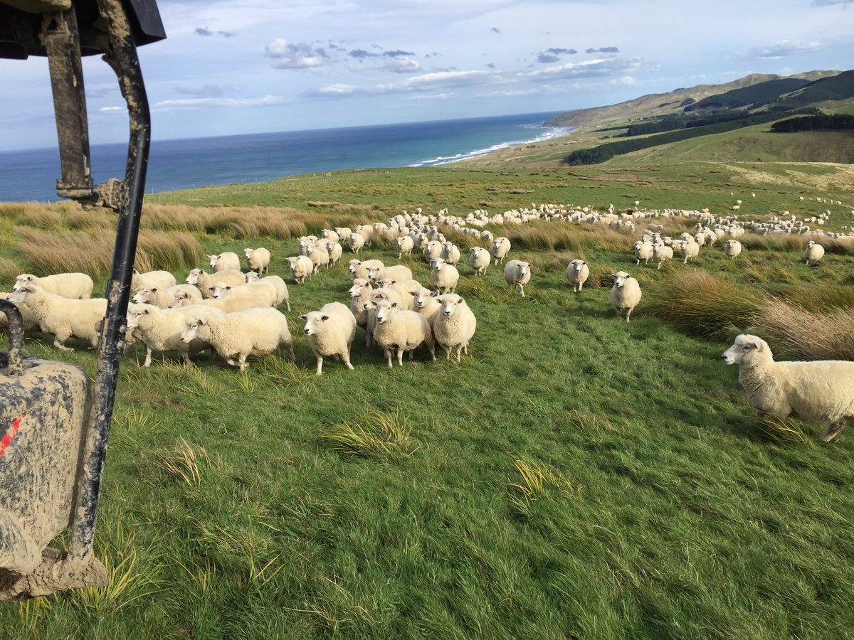 Anders Crofoot tweet media