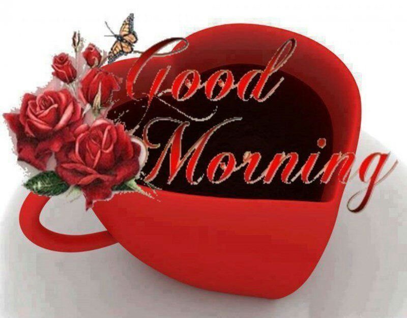 MuhammadNadeen's tweet image. Good Morning