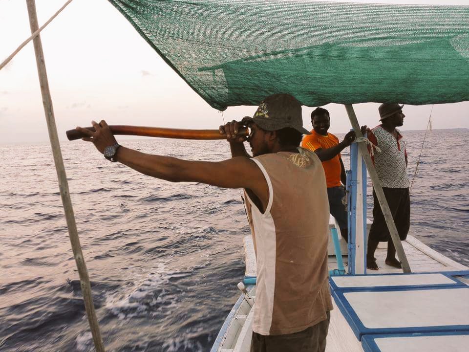 ibrahimshaafiu's tweet photo. Kuriyah fennan othee varah ves ufaaveri dhuvas thakeh☝️hahgah nasru lubun othee nuhanu gaathu ga.emme beyfulhun hiyvaru kurahvaa ☝️
Rahyithunge Hiyvaru ☝️
#Nimenee #Nimenee....
@thayyib @ramyz44 @shaheeym @MDPBilehfahi https://t.co/SydXhoGNkt