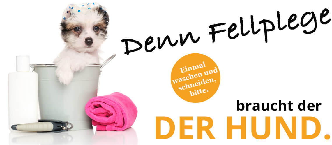 leckerchen24's tweet photo. Heute startet unsere Furminator-Fellpflege-Aktion - zu jedem Kauf einer Furminator Hundebürste, schenken wir euch den Furminator Curry Brush im Wert von 13,49€.
Schaut mal rein... https://t.co/10lgjIPikF https://t.co/Hxb3q90cx5