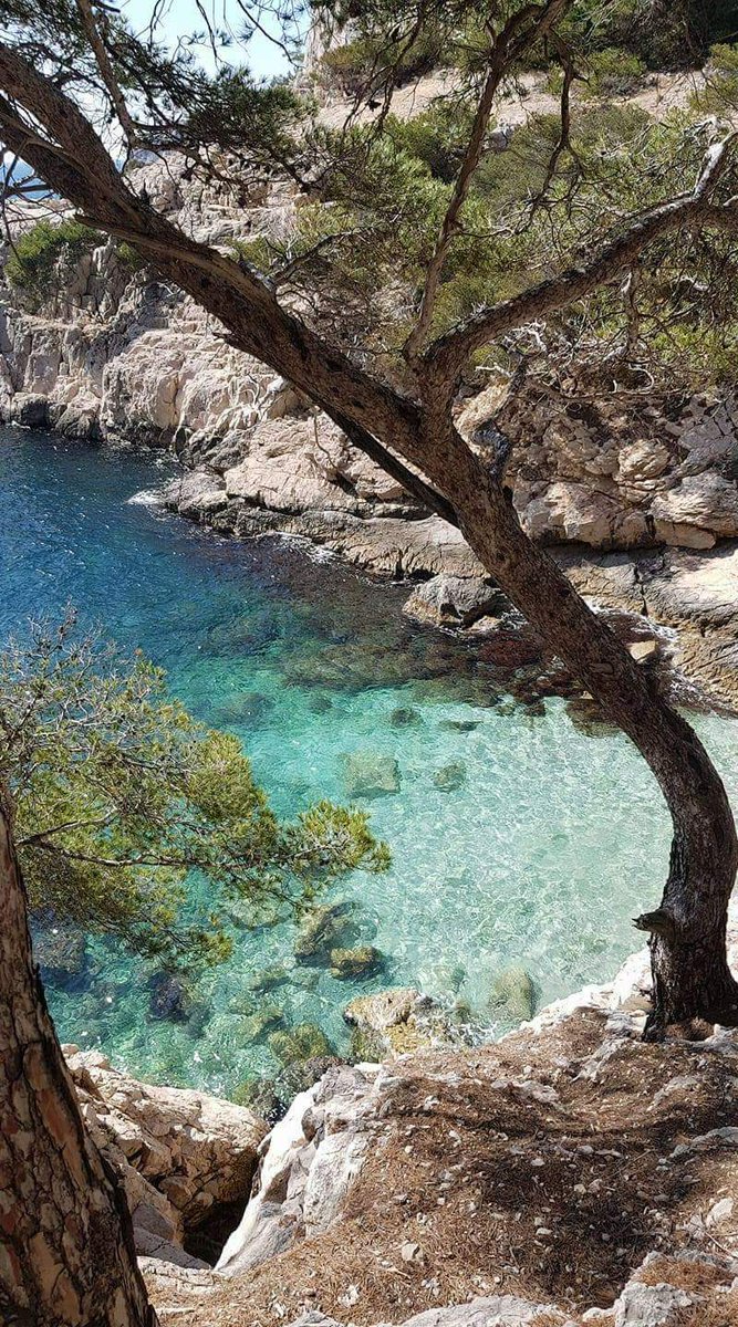 Inscrites au patrimoine Mondial de l'UNESCO !

Nos Calanques ! 😍

📸 <a href="/lionel_duval/">Bienvenue à Marseille</a>