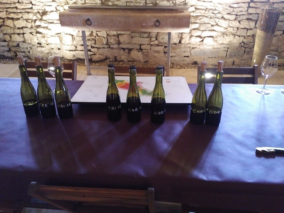 DoliverosDaniel's tweet photo. Finishing up a week of re-tasting 16 in #Burgundy, the exquisite @gdangerville wines were the best, transparency & intensity in every Cru, #Volnay #Champans best one I have ever tasted & the ClosDesDucs magnificent as always, unforgettable tasting! https://t.co/tYUPQNLe4m