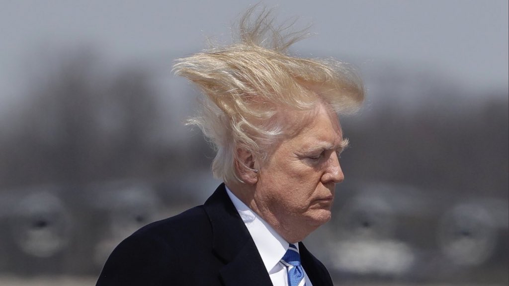rinconcitonaco's tweet image. #fly #ILoveYouTrump