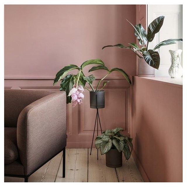 SidelineGallery's tweet photo. Quiet corners....
_______________________________
Found via @thesefourwallsblog 
#art #prints #sidelinegallery #gallery #photography #photographer #photograph #interior #interiordesign #design #space #home #decor #artbuyer #artist #fineart #wallart #inte… https://t.co/70kw2tGay1 https://t.co/WS9emInJQM