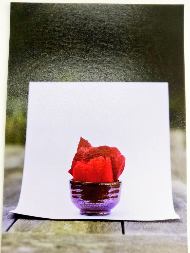 Dev_Collective's tweet photo. More work in #dcpostcardshow at #DC3ProjectSpace, part of Eastbourne Open Houses & Studios. Today all 3 of our venues will be open 10am-5pm including #dc1cafegallery #dc2studios. Pop in! https://t.co/Ic03vPGxAo